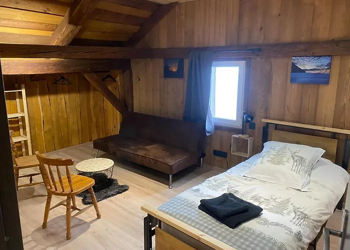 Le Fenil-logis Sauna Bain Nordique Salle Cinema