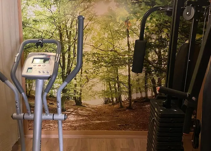 Prázdninový dům Le Fenil-logis Sauna Bain Nordique Salle Cinema Ban-sur-Meurthe-Clefcy