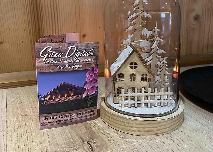 Prázdninový dům Le Fenil-logis Sauna Bain Nordique Salle Cinema Ban-sur-Meurthe-Clefcy