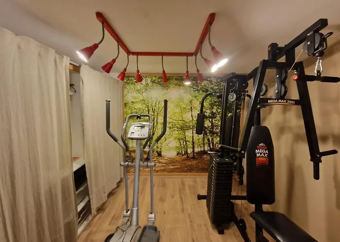 Le Fenil-logis Sauna Bain Nordique Salle Cinema