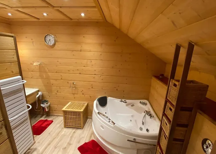 Le Fenil-logis Sauna Bain Nordique Salle Cinema